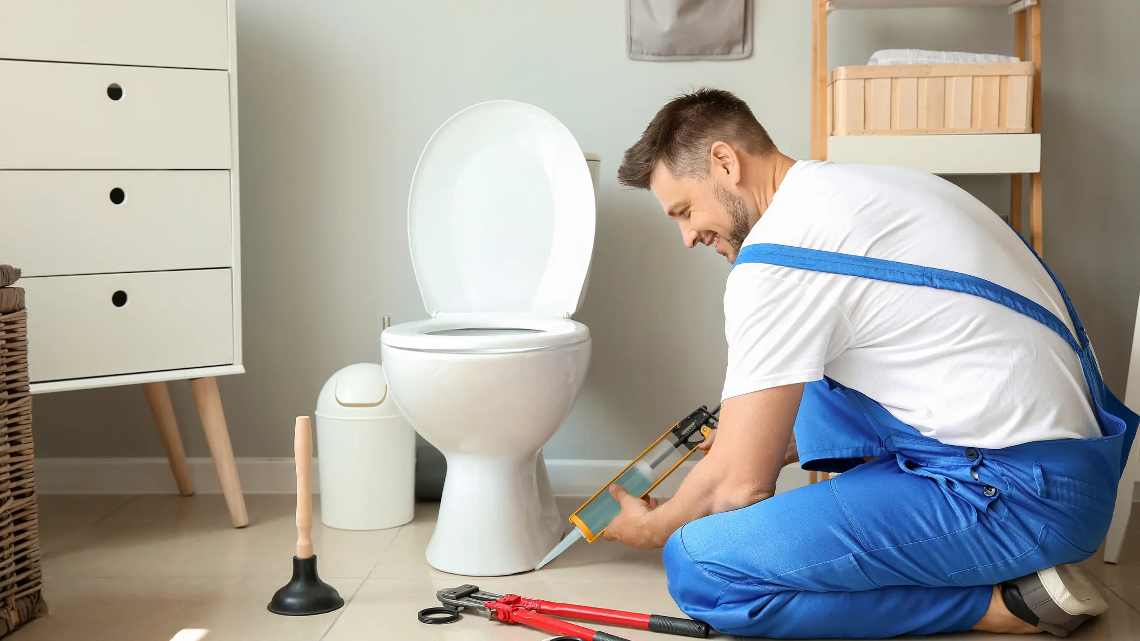 Toilet Leak Repair